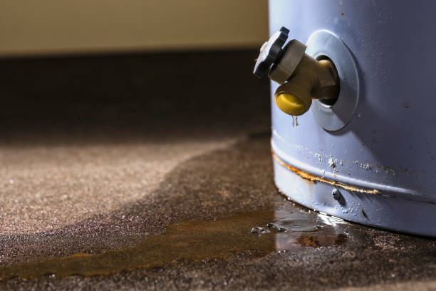 Best Water damage restoration near me  in Severn, MD