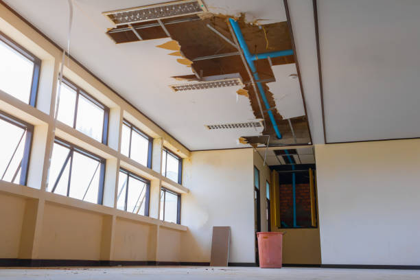 Best Water damage repair service  in Severn, MD