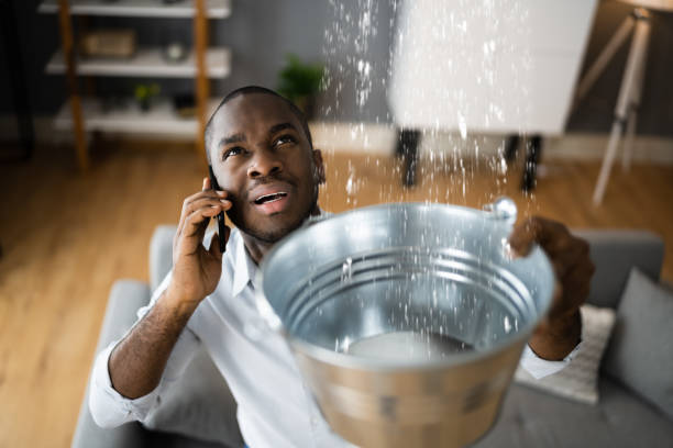 Best Water damage restoration experts  in Severn, MD