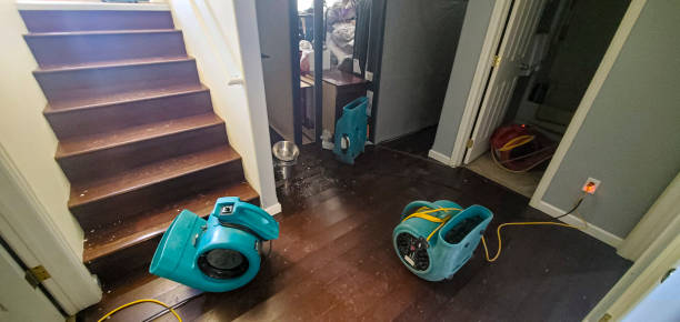 Professional Water damage restoration in Severn, MD