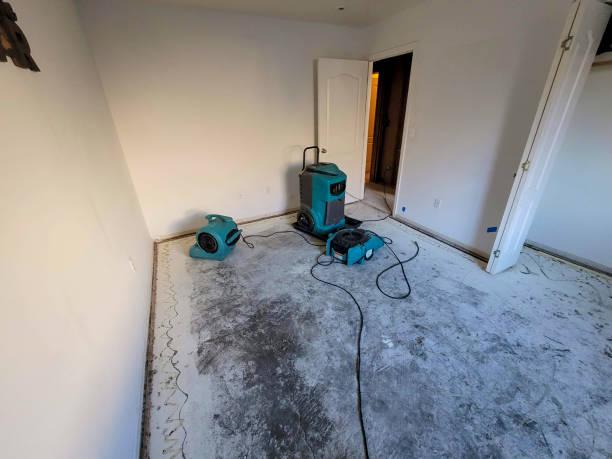 Best 24/7 water damage repair  in Severn, MD