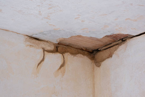 Best 24/7 water damage repair  in Severn, MD