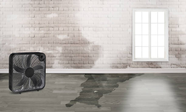 Best Emergency water damage restoration  in Severn, MD