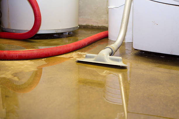 Best Flood restoration services  in Severn, MD