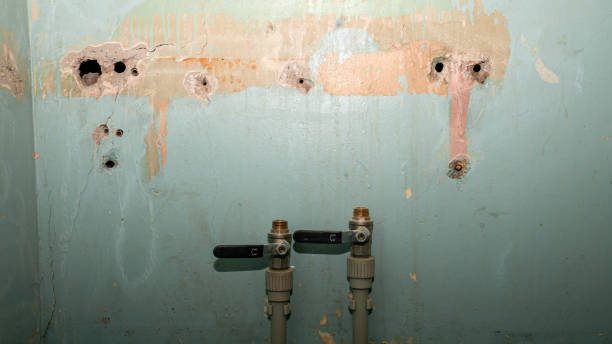 Best 24/7 water damage repair  in Severn, MD