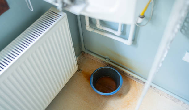 Best Ceiling water damage repair  in Severn, MD