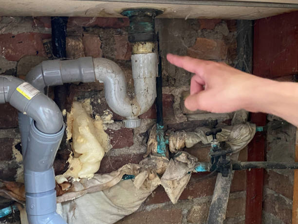 Best Local water damage restoration  in Severn, MD