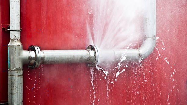 Best Water damage restoration specialists  in Severn, MD