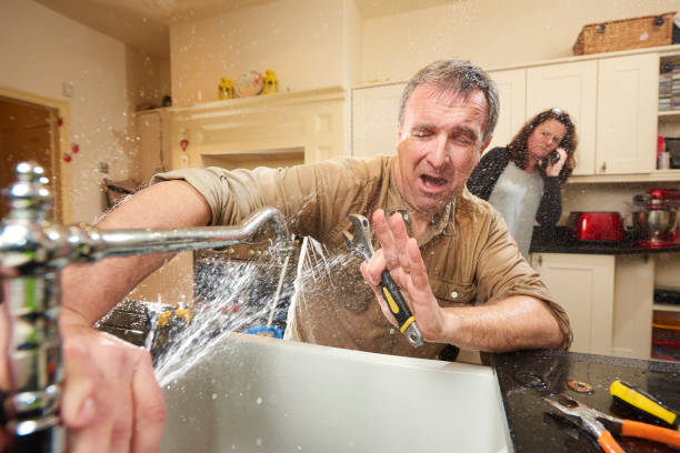 Best Professional water damage repair  in Severn, MD
